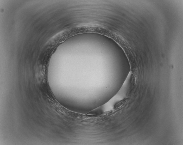 X0000081451062200701261907