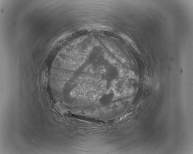 X0000081451063200701261907