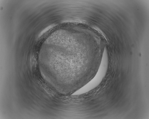 X0000081451064200701261907