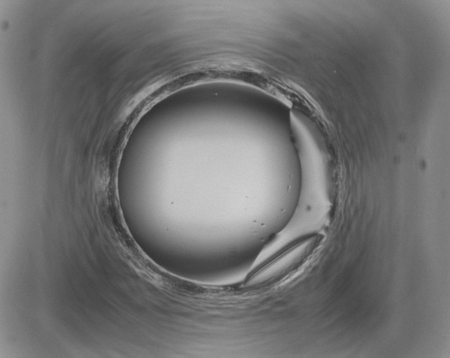 X0000081451065200701261907