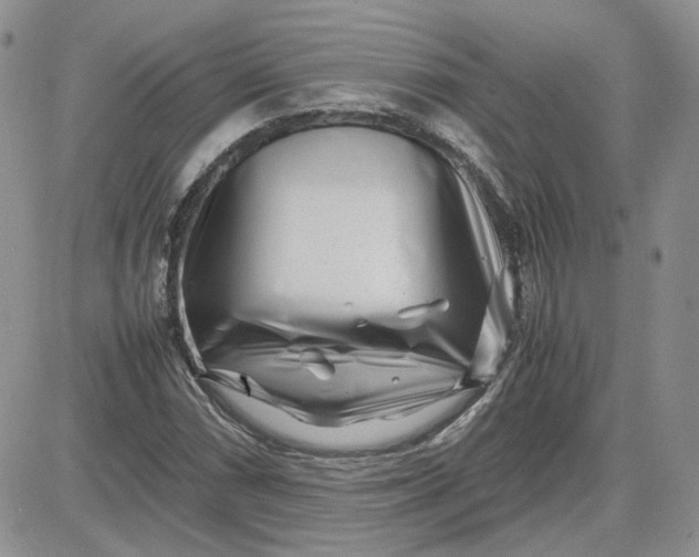 X0000081451066200701261907