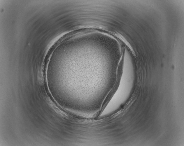 X0000081451068200701261907