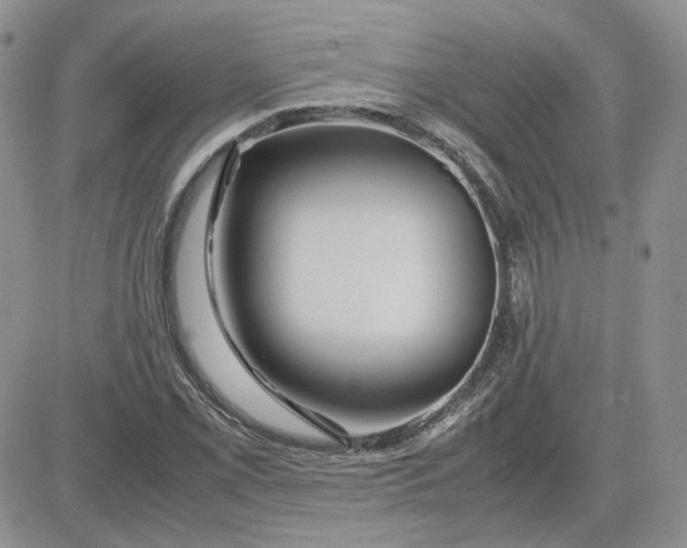 X0000081451069200701261907