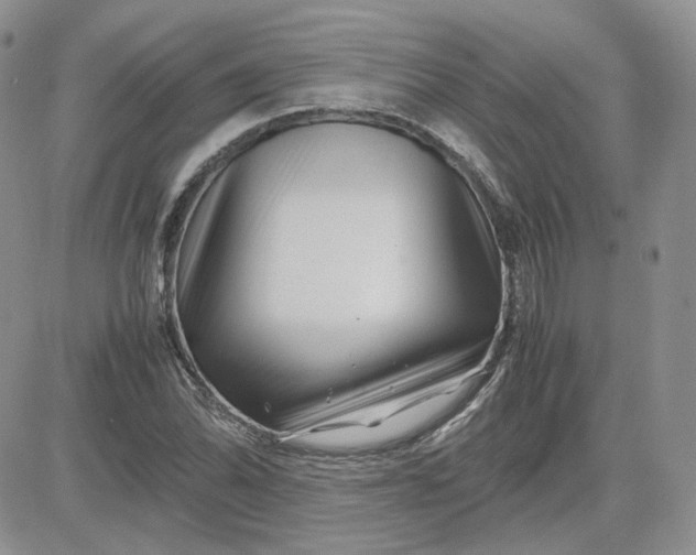 X0000081451070200701261907