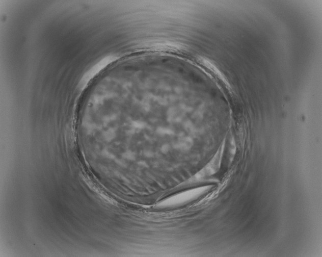 X0000081451071200701261907