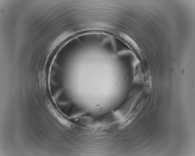 X0000081451072200701261907