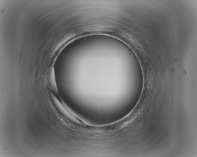 X0000081451073200701261907