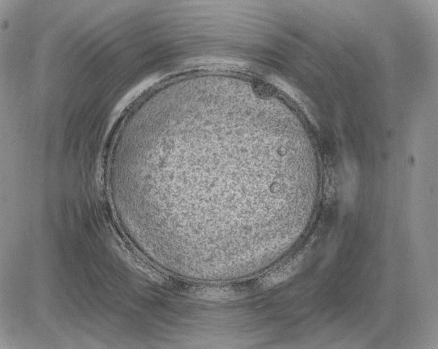 X0000081451074200701261907