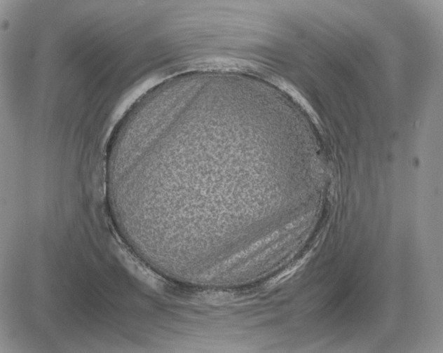 X0000081451075200701261907