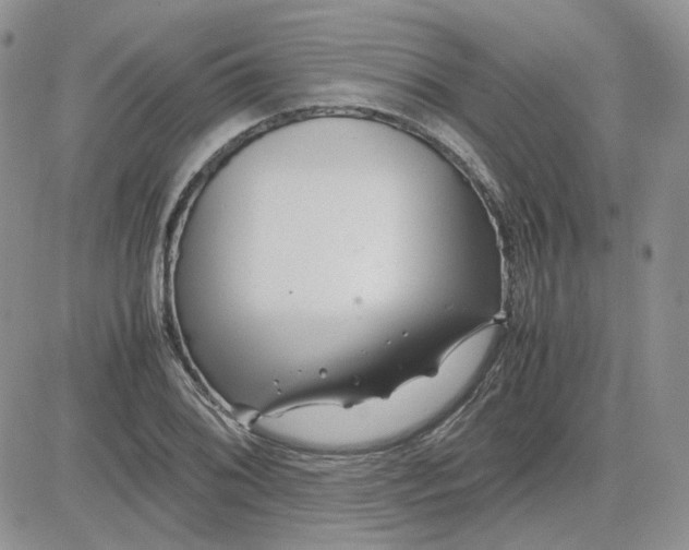 X0000081451076200701261907