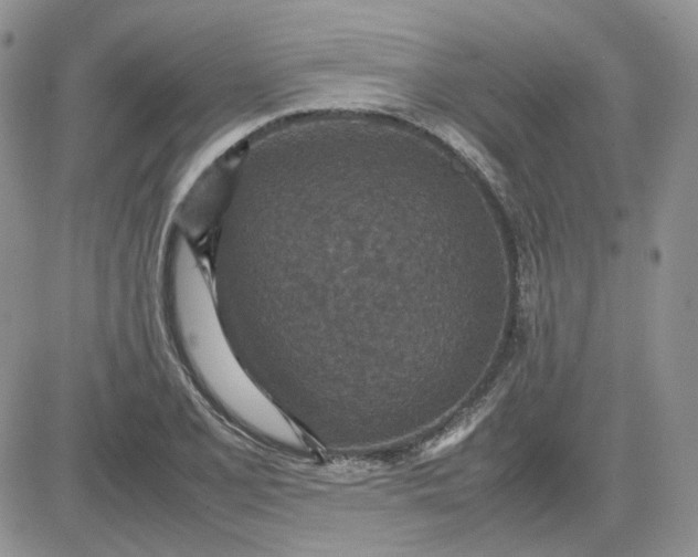 X0000081451077200701261907