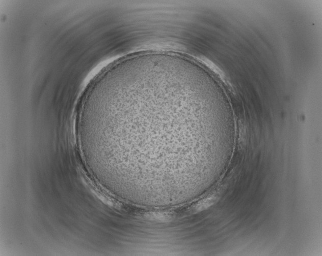 X0000081451078200701261907