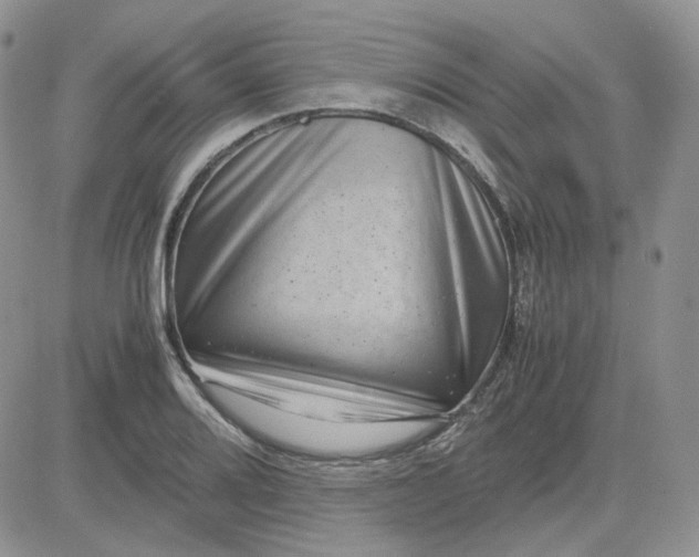 X0000081451080200701261907