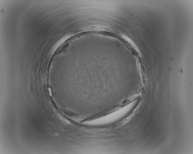 X0000081451081200701261907