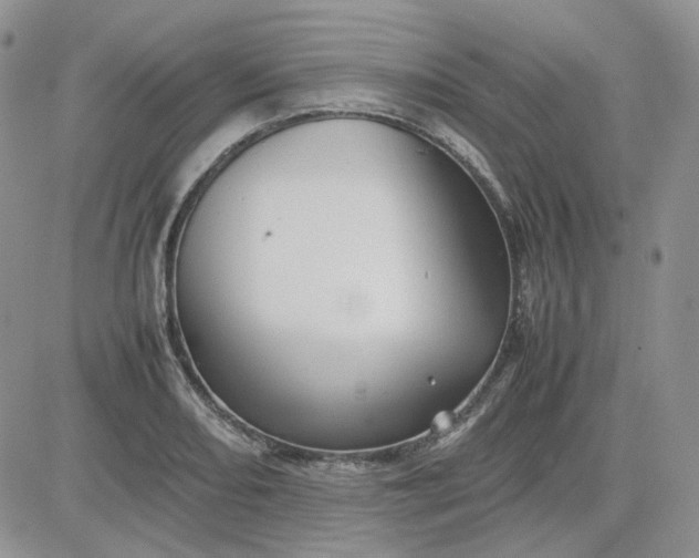 X0000081451082200701261907