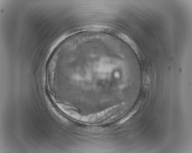 X0000081451083200701261907