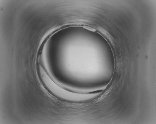 X0000081451085200701261907