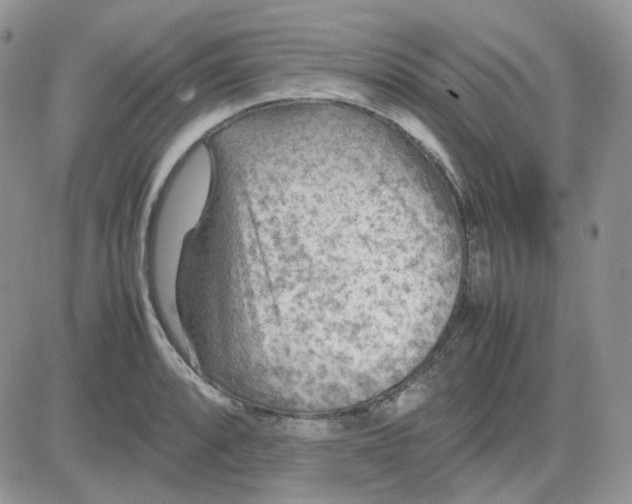 X0000081451088200701261907