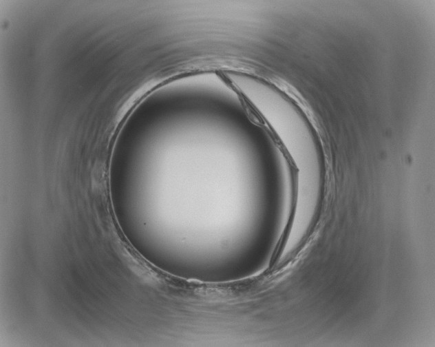 X0000081451089200701261906