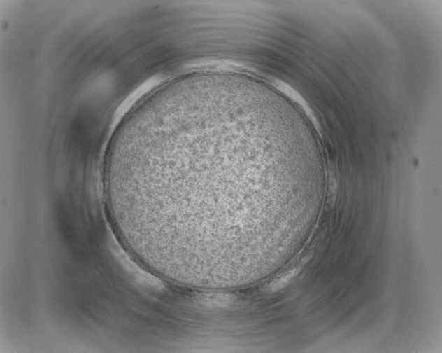 X0000081451090200701261906