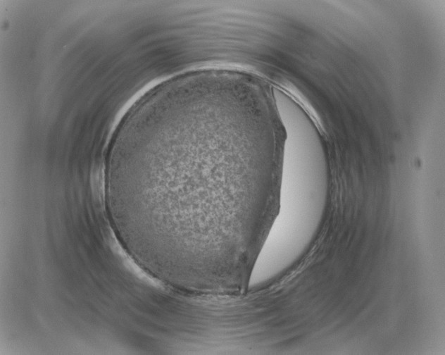 X0000081451092200701261906