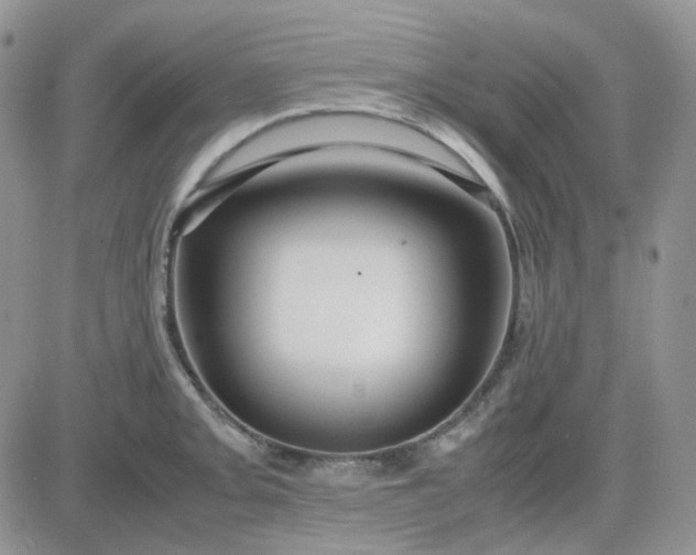 X0000081451093200701261906