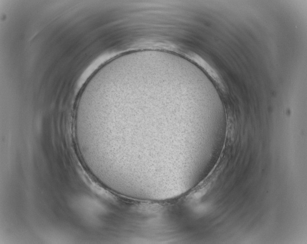 X0000081451094200701261906