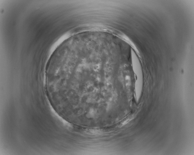 X0000081451095200701261906