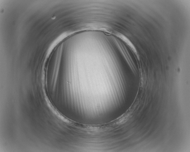 X0000081451096200701261906