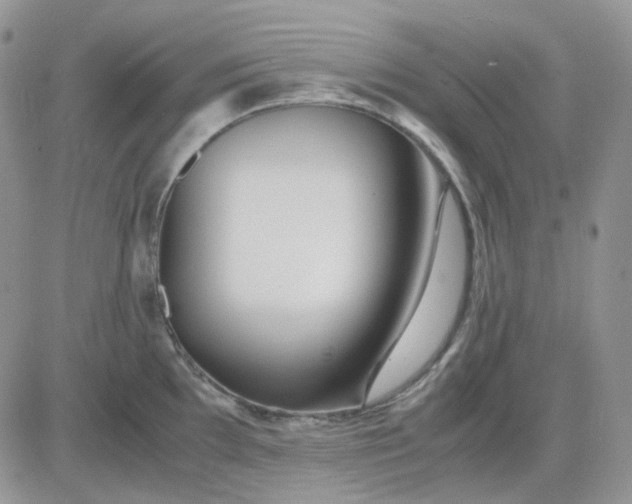 X0000081451097200701261906