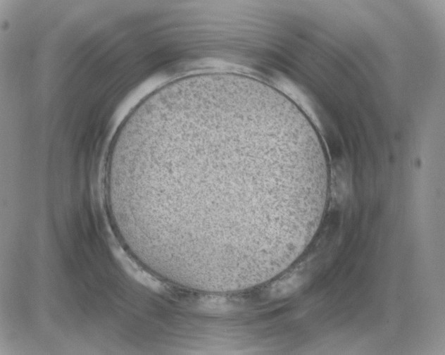 X0000081451098200701261906