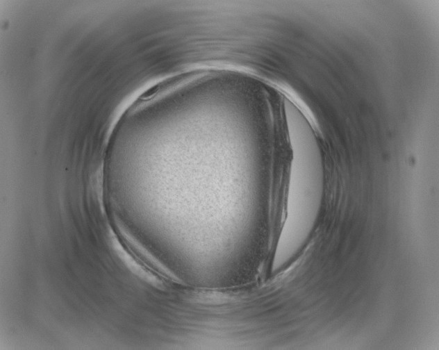 X0000081451100200701261906