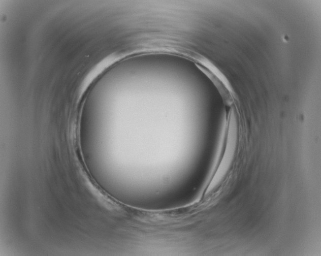 X0000081451101200701261906