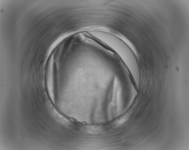 X0000081451102200701261906