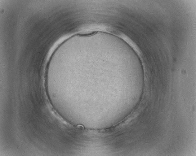 X0000081451104200701261906