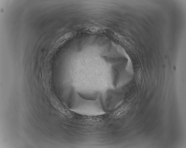 X0000081451105200701261905