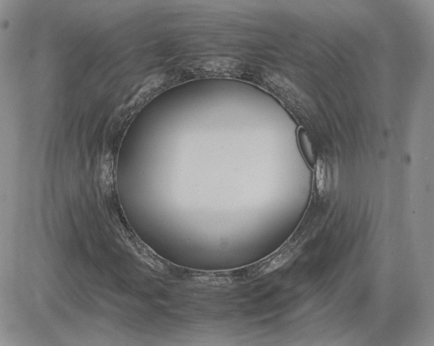 X0000081451107200701261905