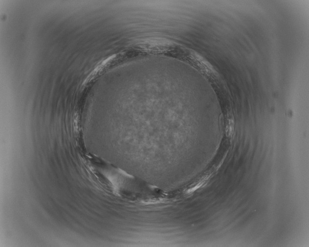 X0000081451108200701261906