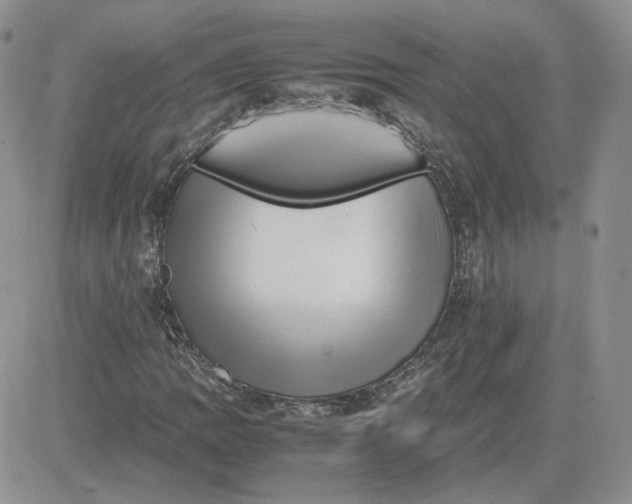 X0000081451109200701261906