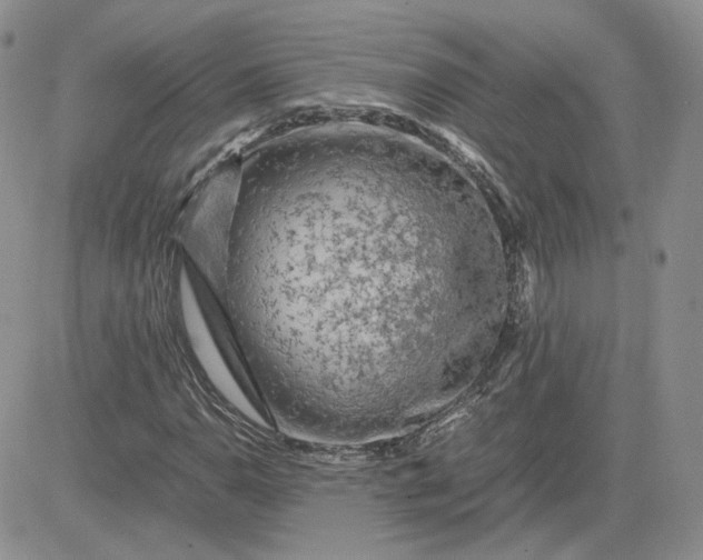 X0000081451110200701261906