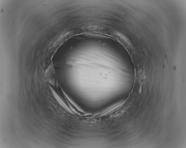 X0000081451111200701261906