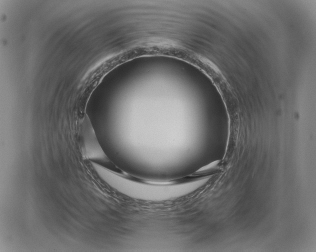 X0000081451112200701261906