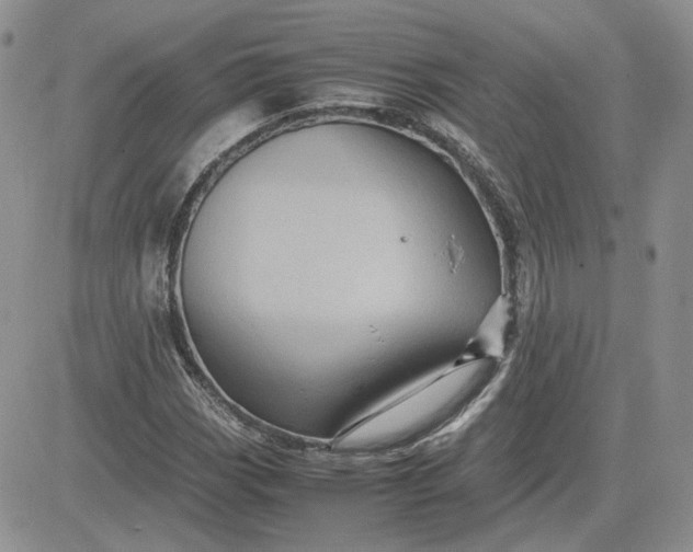 X0000081451113200701261906