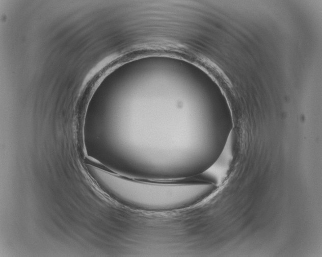 X0000081451114200701261906