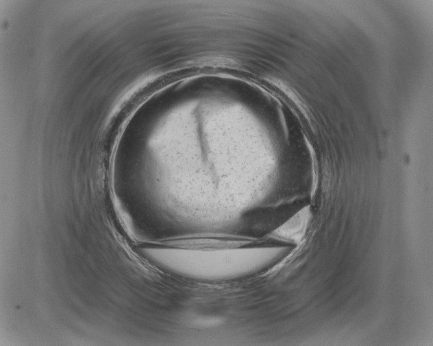 X0000081451115200701261906