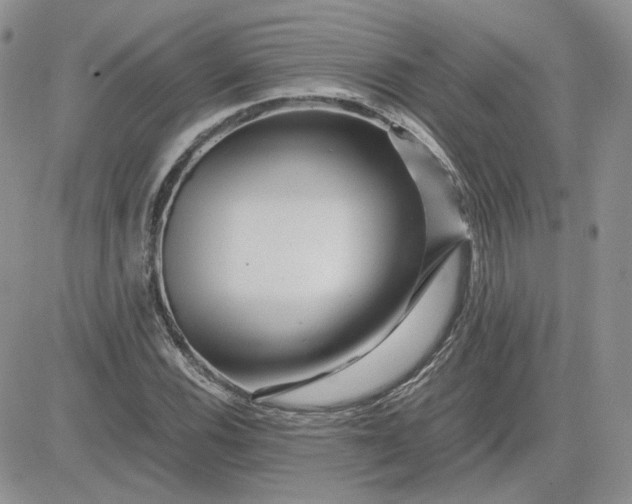 X0000081451116200701261906