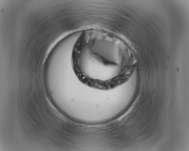 X0000081451118200701261906