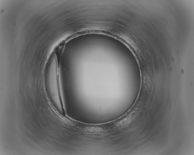 X0000081451119200701261906