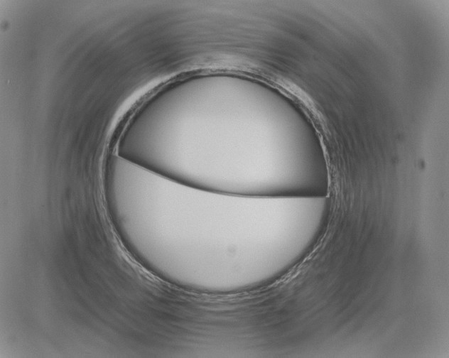 X0000081451120200701261906