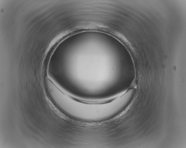 X0000081451122200701261906